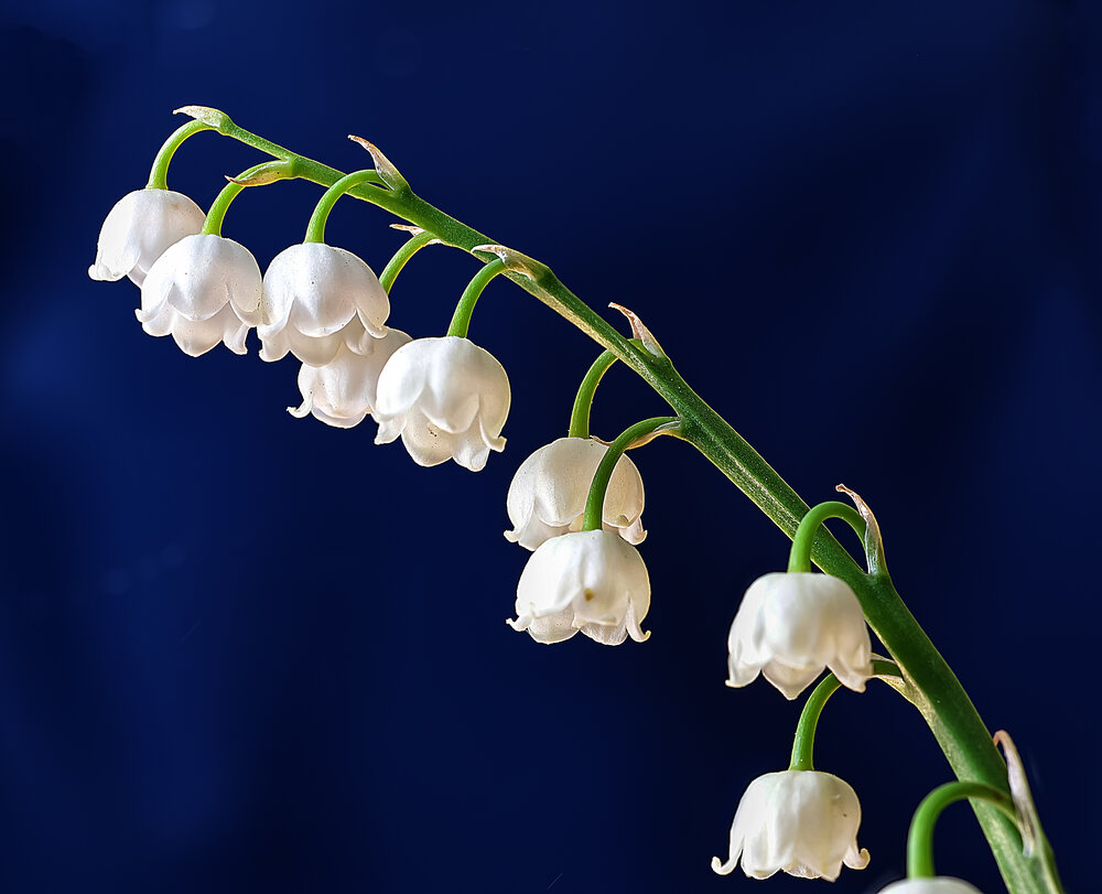 Photograph by Александр Широких