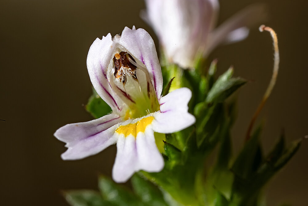Photograph by Александр Широких