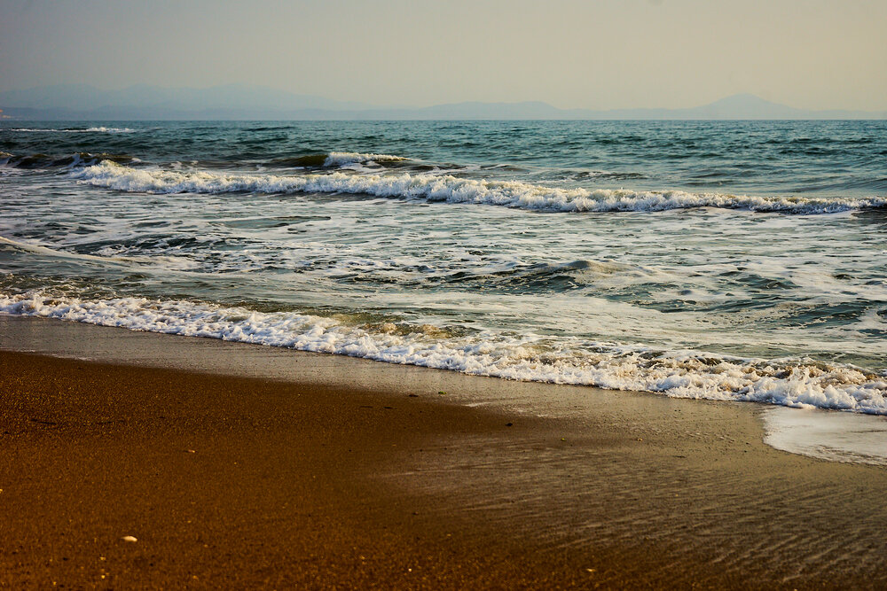 Photograph by Лариса Н