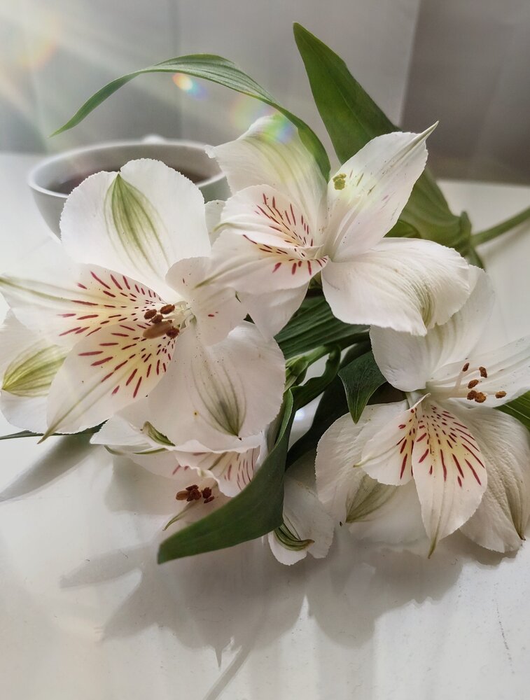 Photograph by Анна Андреевна