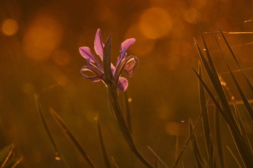 Photograph by Константин Белоногов