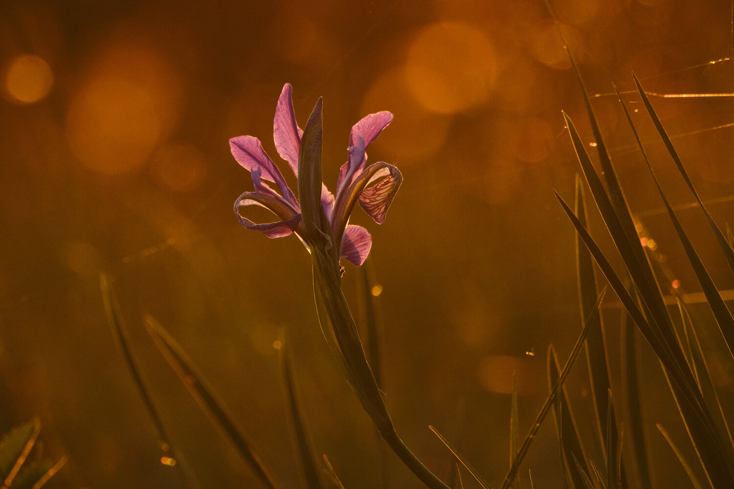 Photo #13880398