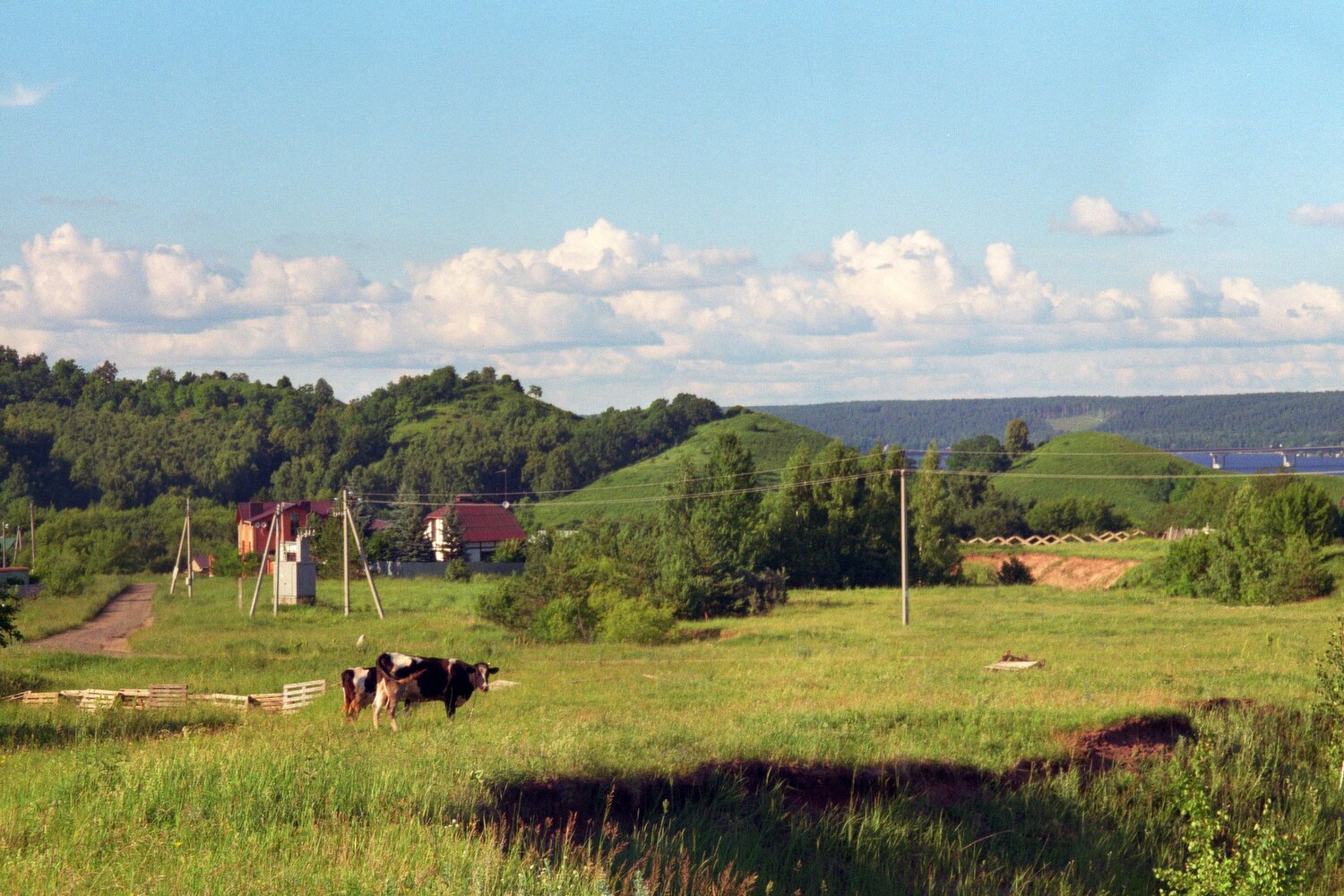 Photo #13880416