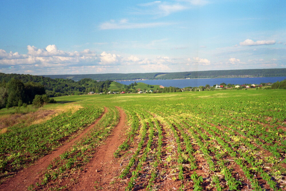 Photograph by Виталий Павлов