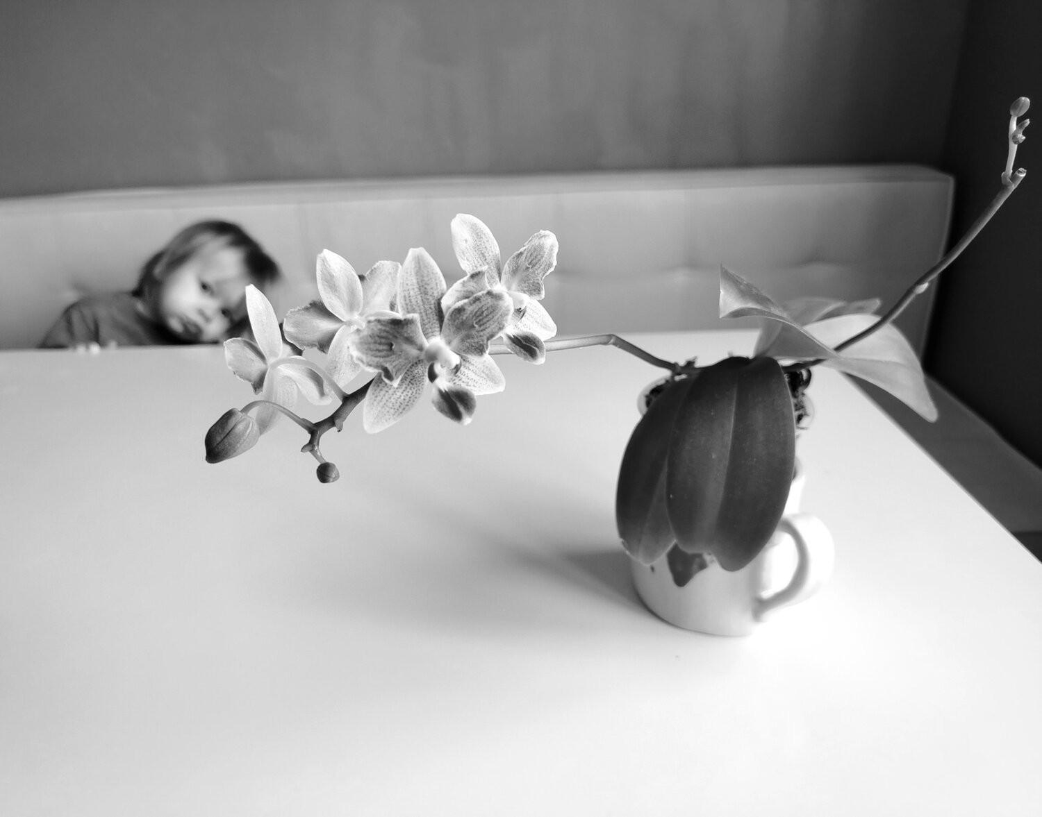 Photo #13880436