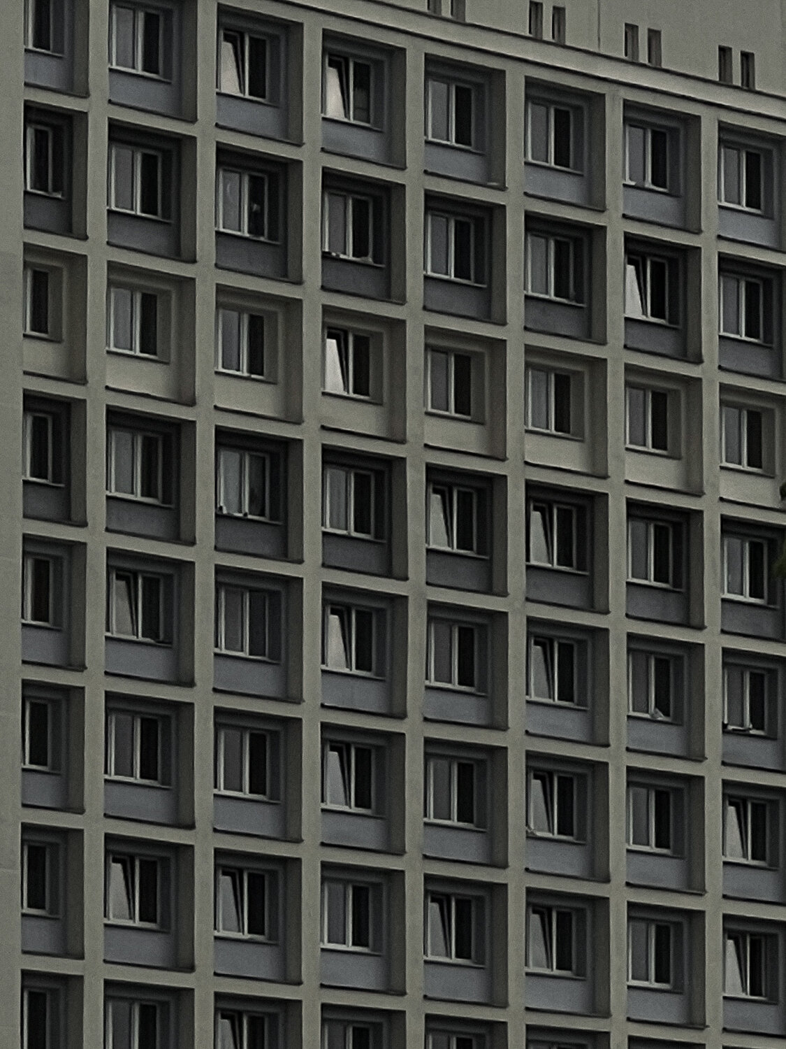 Photo #13880444