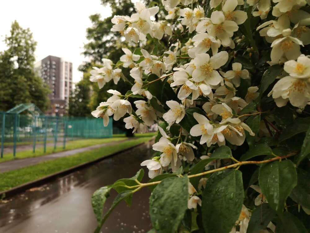 Photo #13880448