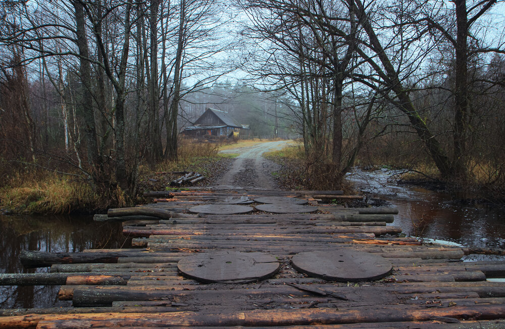 Photograph by Ольга Алёшина