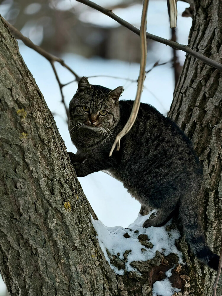 Photograph by Инна Иванова