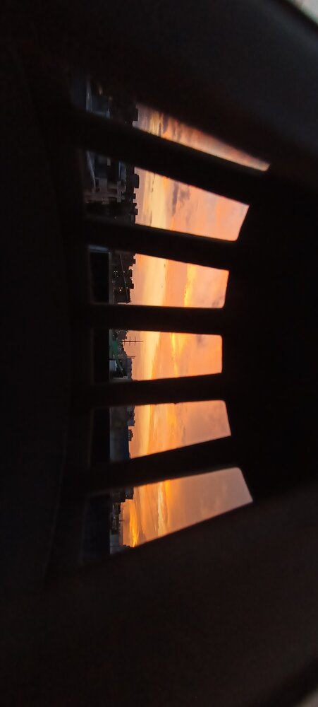Photograph by Vidhi Khurana