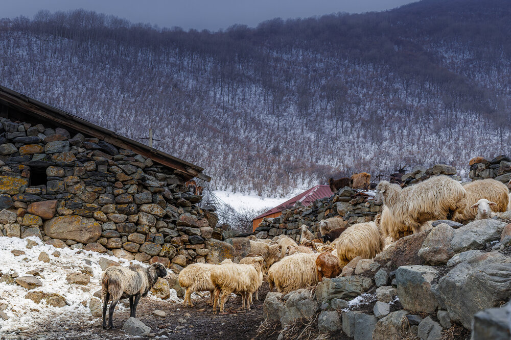Photograph by Igor Maksimenko
