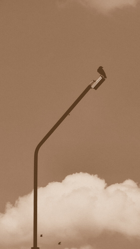 Urban silhouette