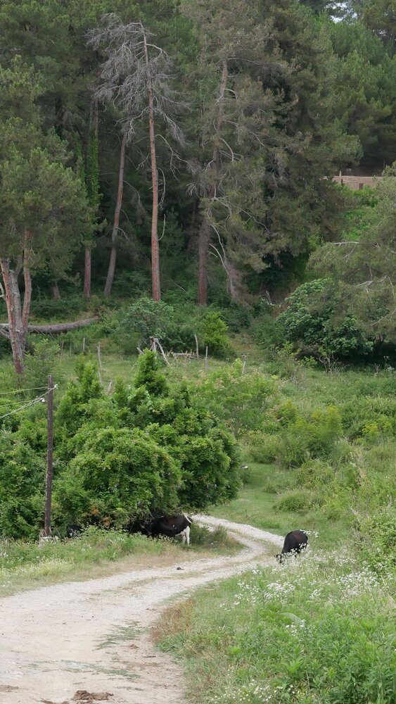 Photo #13880621
