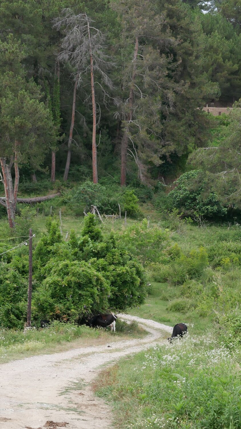 Photo #13880621