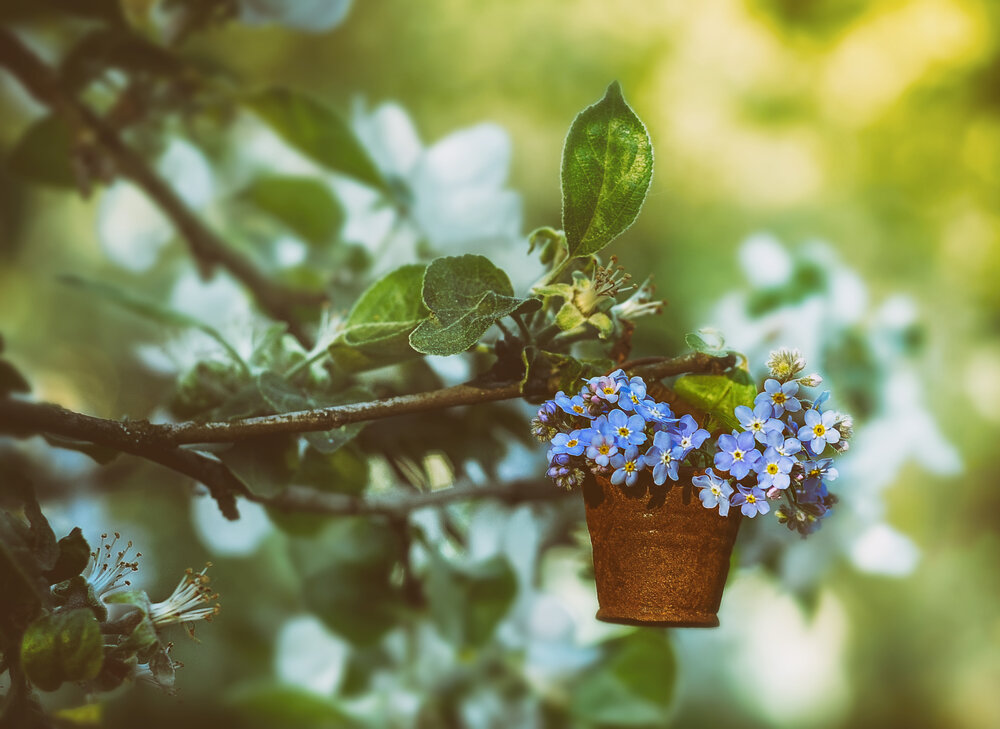 Photograph by Ирина Пинчук
