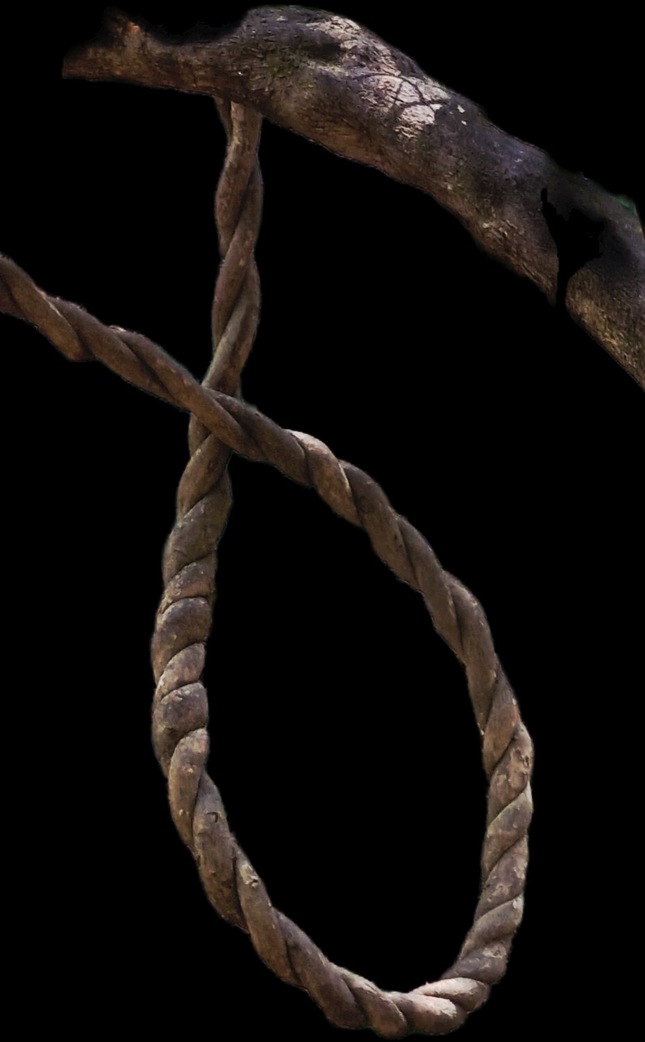 The Natural Loop