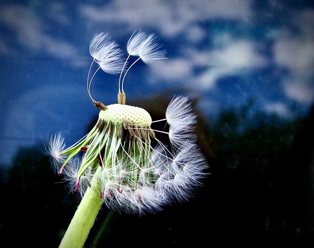 Photograph by Татьяна Шитлина