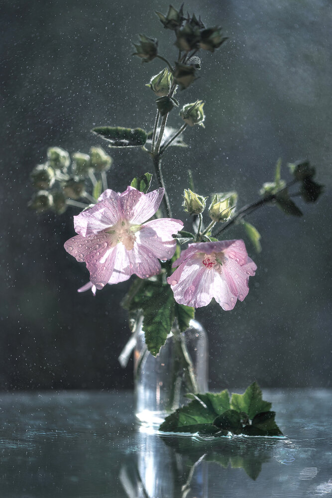 Photograph by Natalia Matyukhina