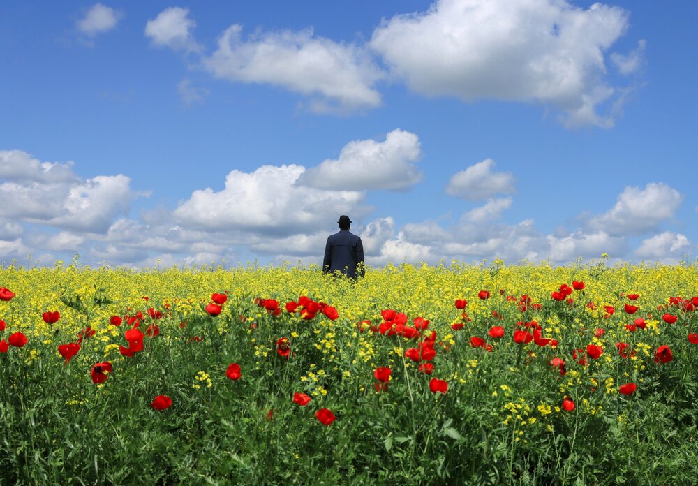 Photograph by Arezoo Arianpour