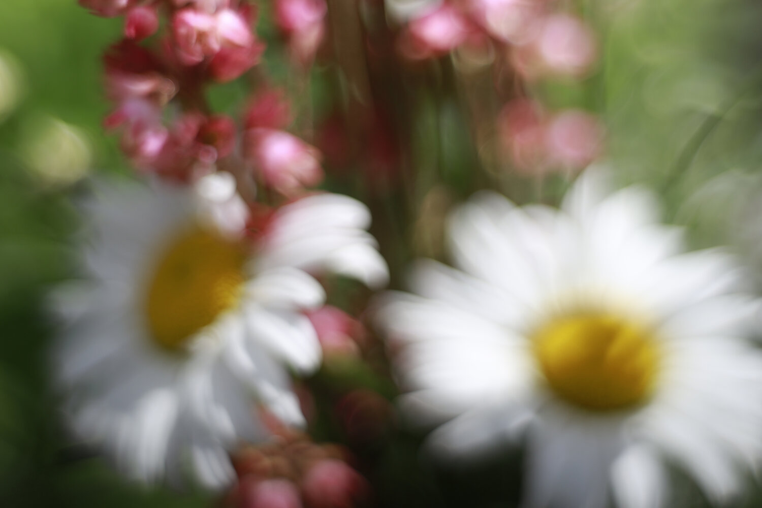Photo #13880726