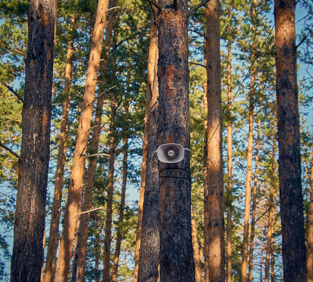 Photograph by Алексей Пахомов