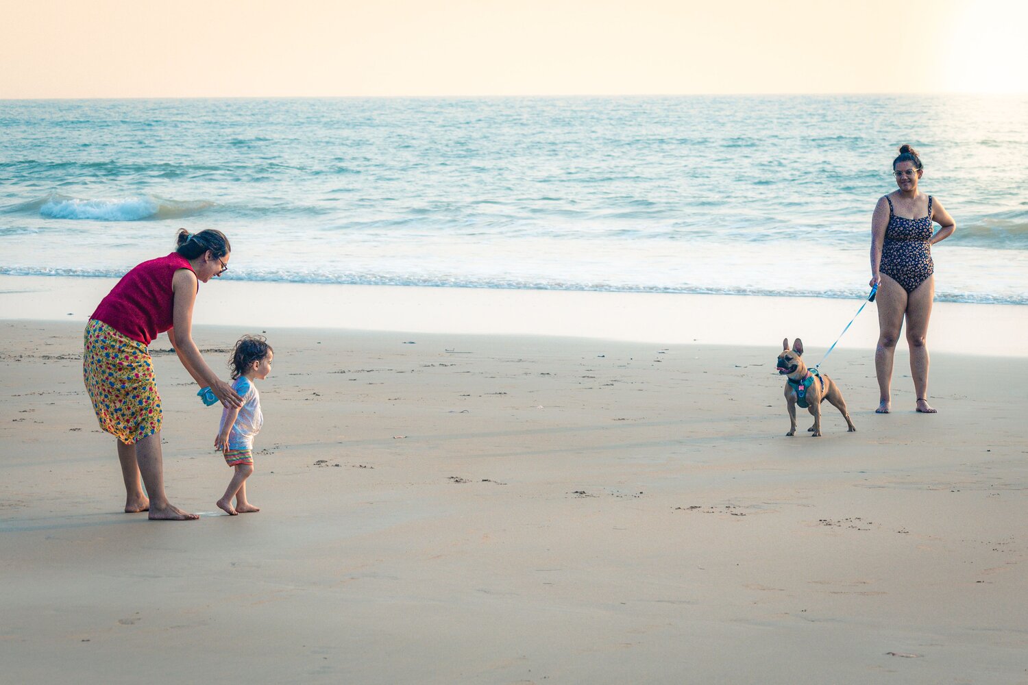 Photo #13880743