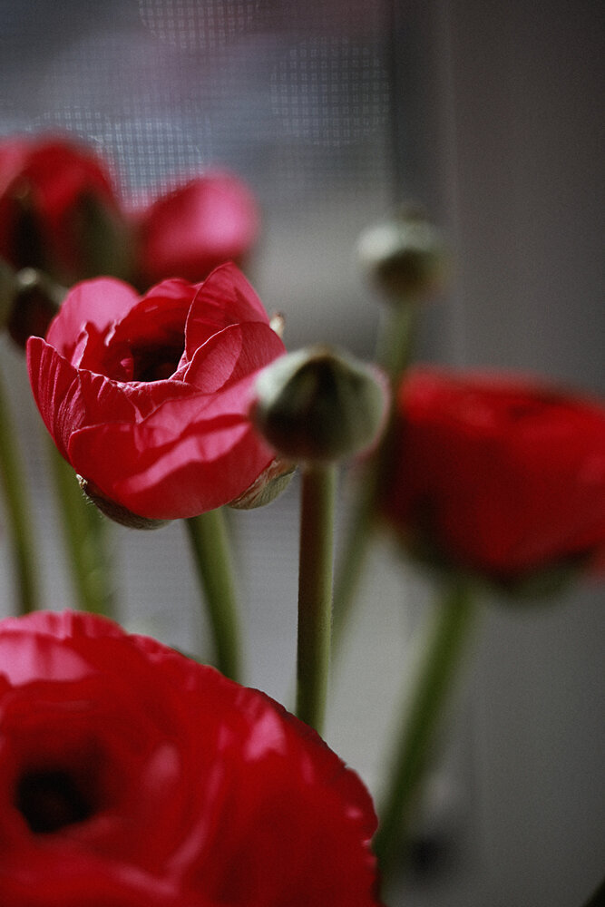 Photograph by Евгения Занадворова