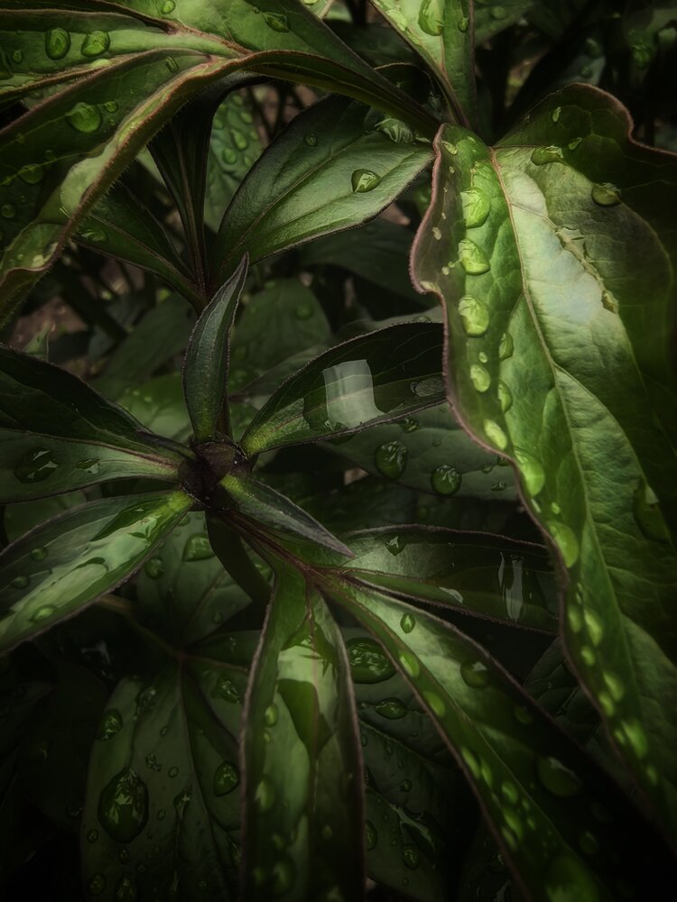 Photograph by Наталья Жуковская
