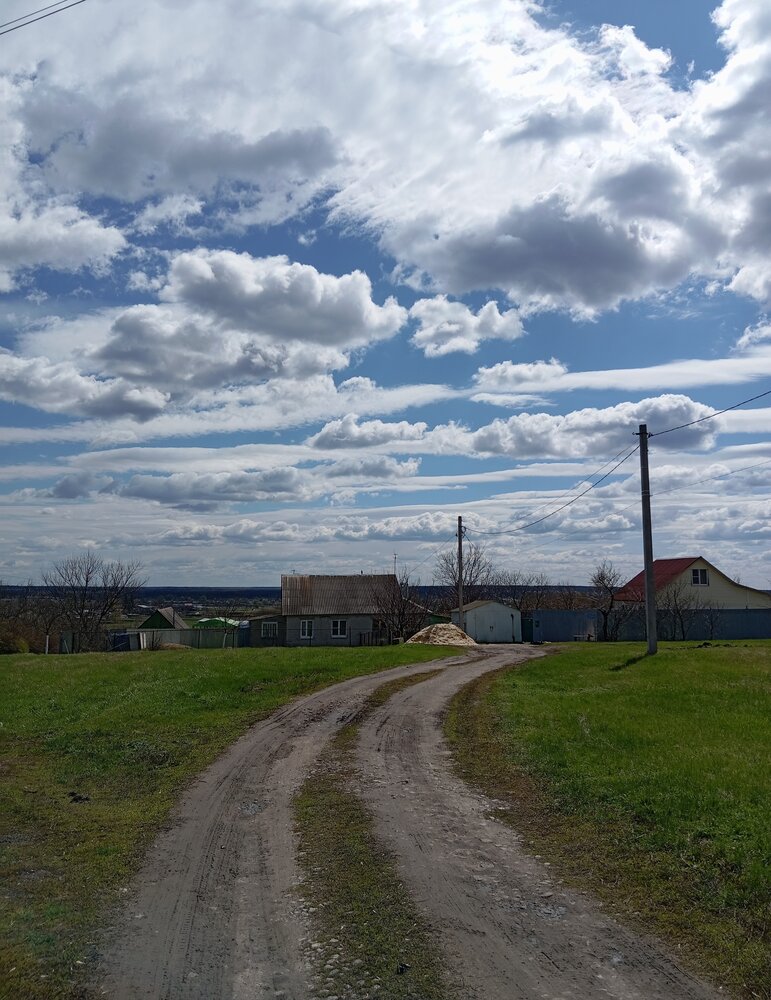 Photo #13880815