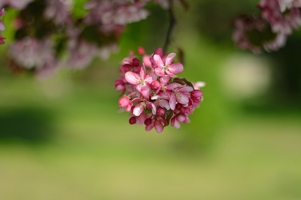 Photograph by Елена Берсенёва