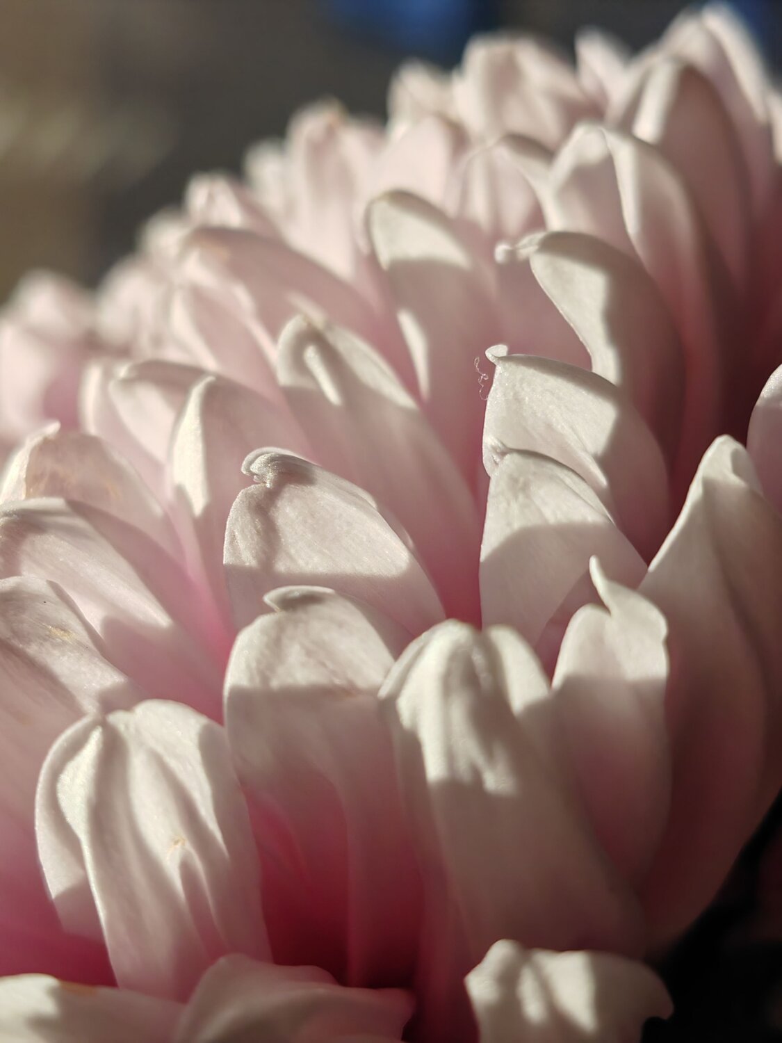 Photo #13880908
