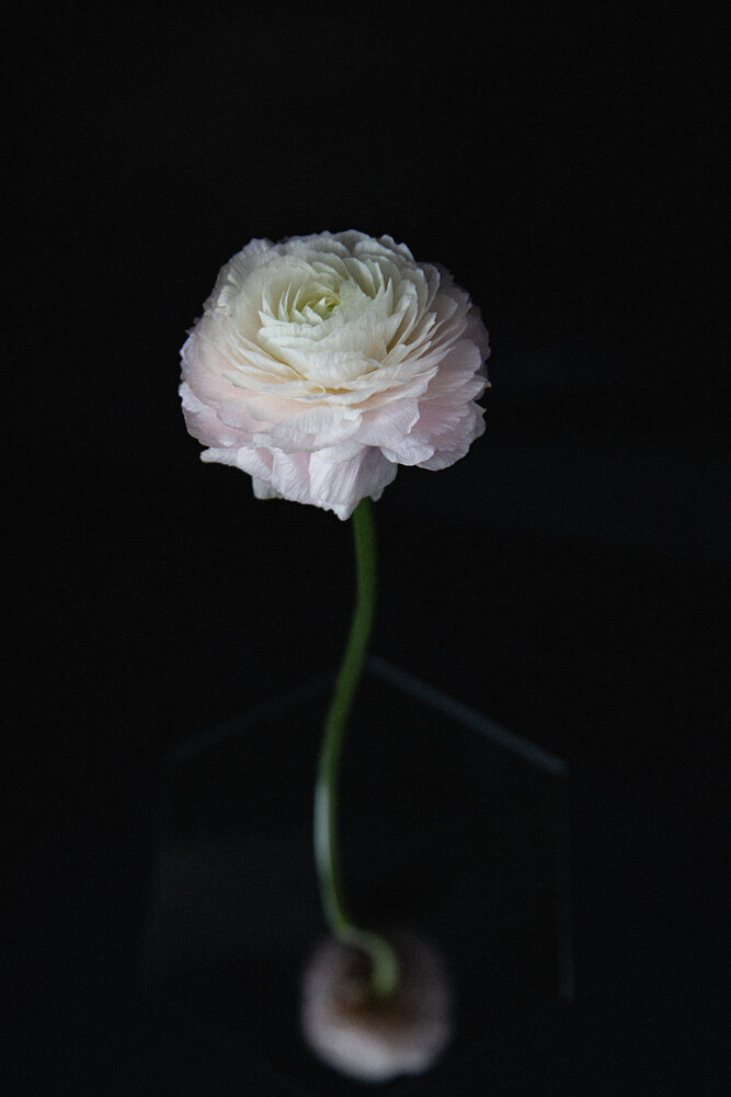 Photograph by Евгения Занадворова