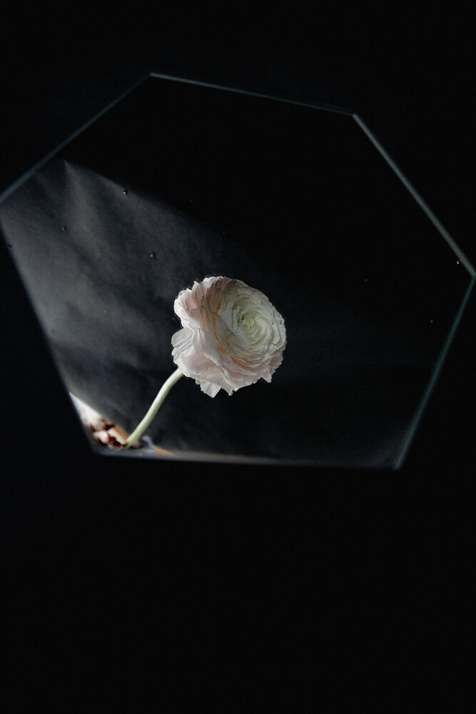 Photograph by Евгения Занадворова