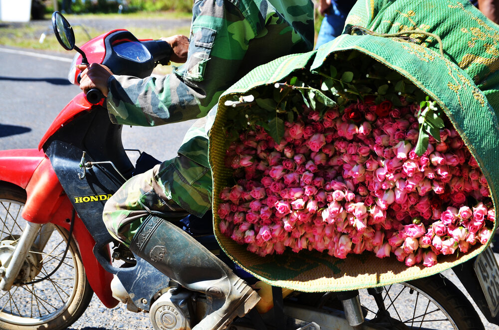 Photograph by Quang Thăng Lê