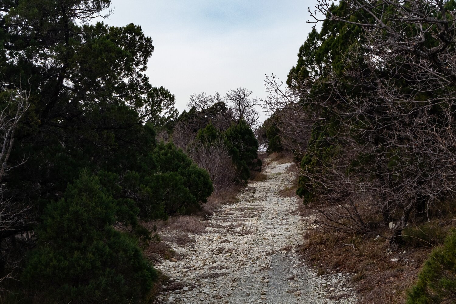 Photo #13881023