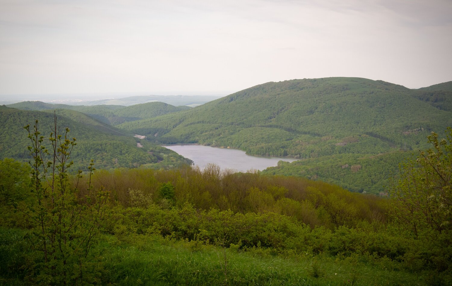Photo #13881024