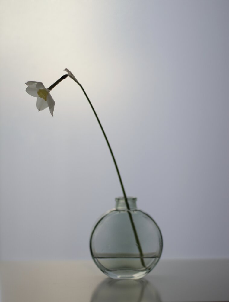 Photograph by Альфия