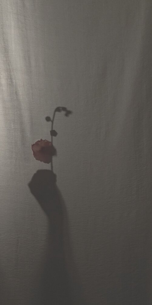 Photograph by Альфия