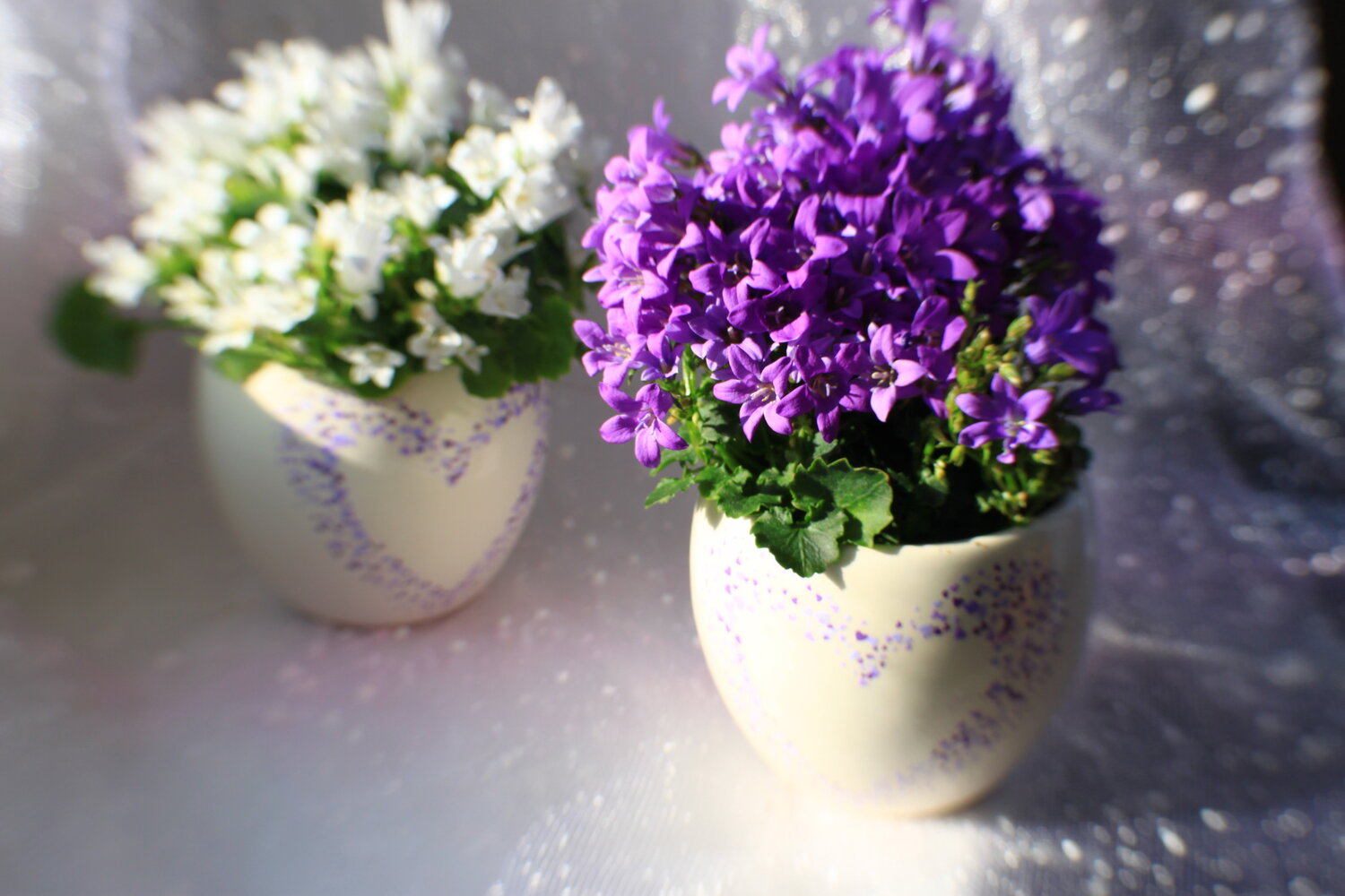 Photo #13881044