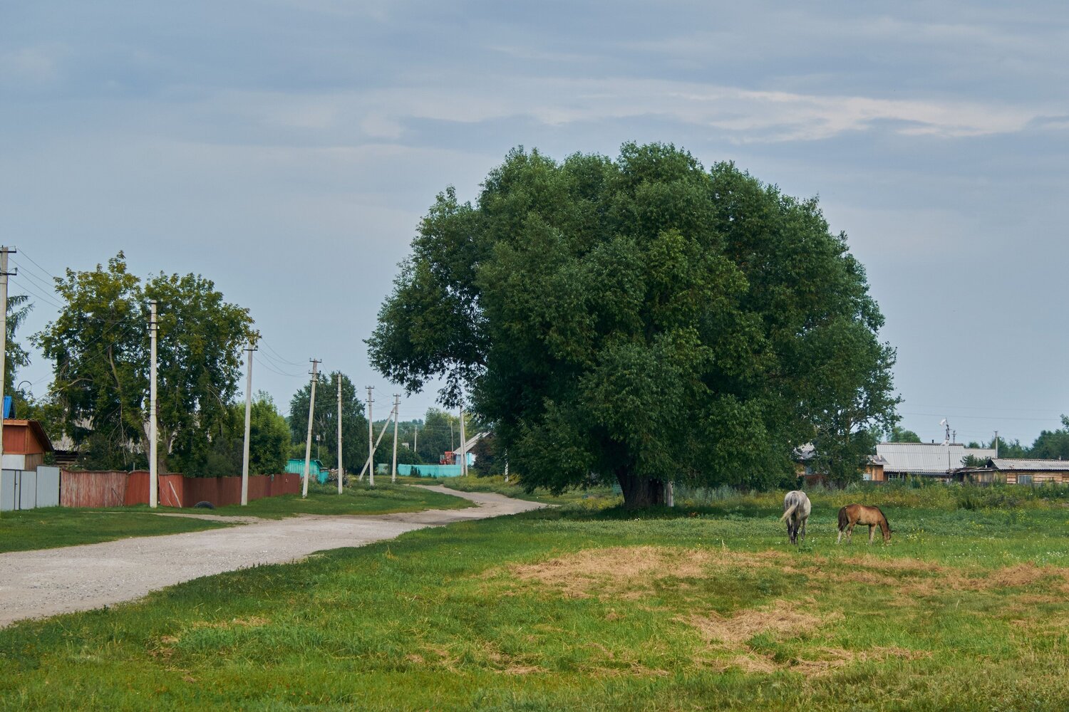 Photo #13881052