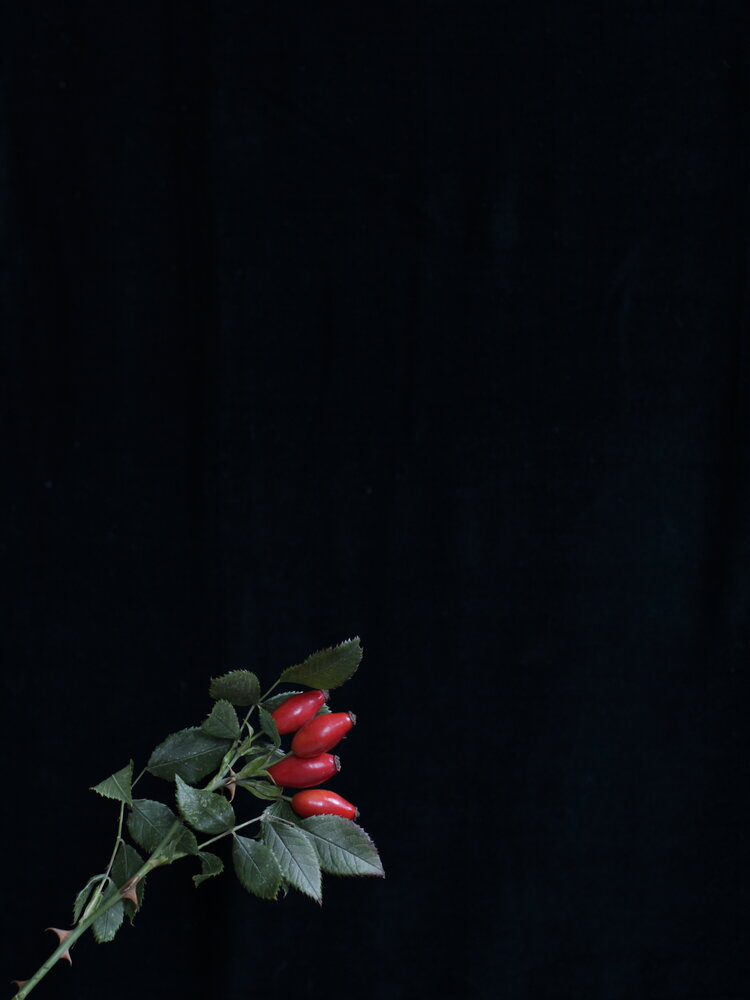 Photograph by Альфия