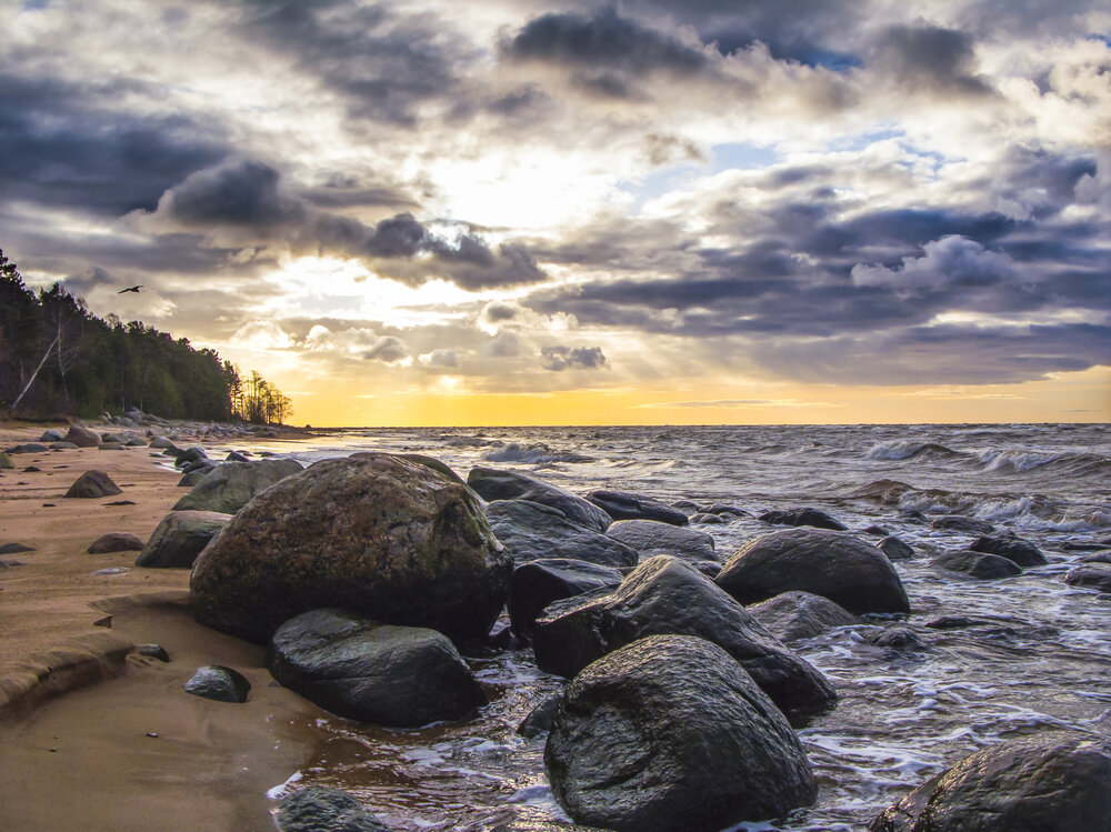 Photograph by Дмитрий Ткаченко