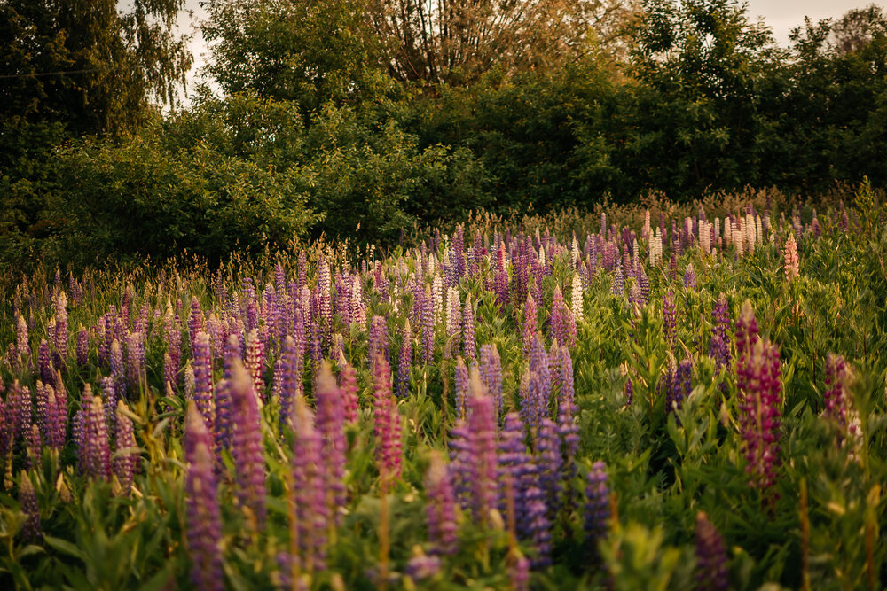 Photograph by Юлия Рыжавина
