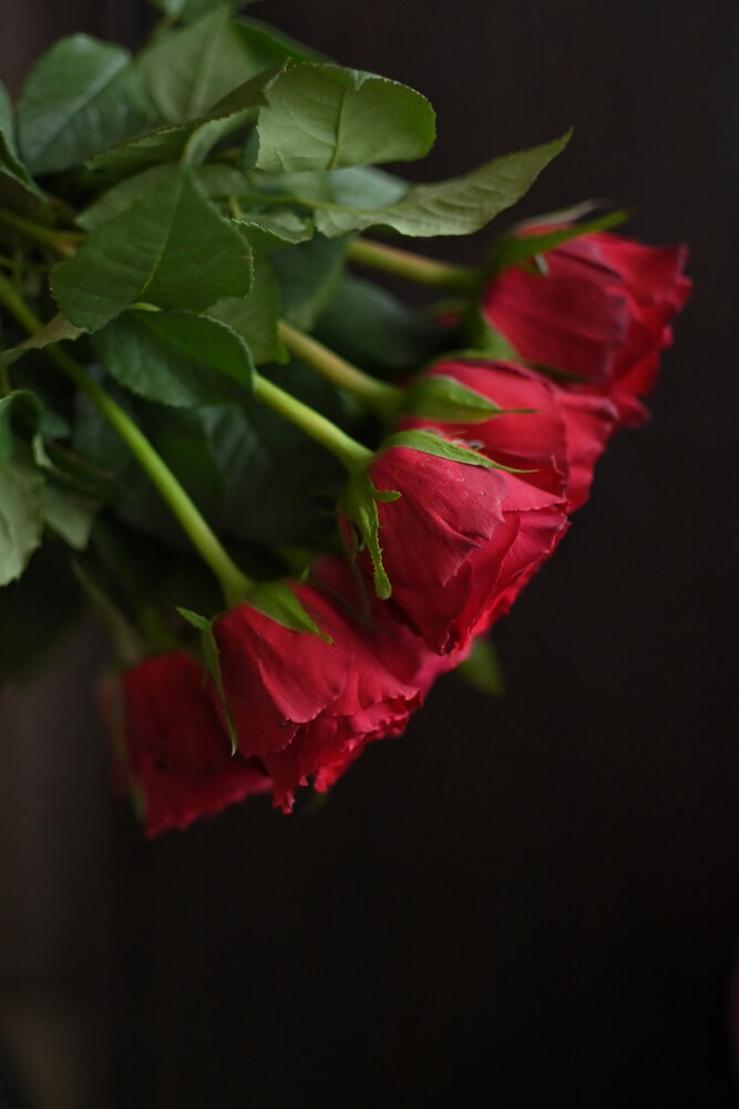 Photograph by Юлия Рыжавина