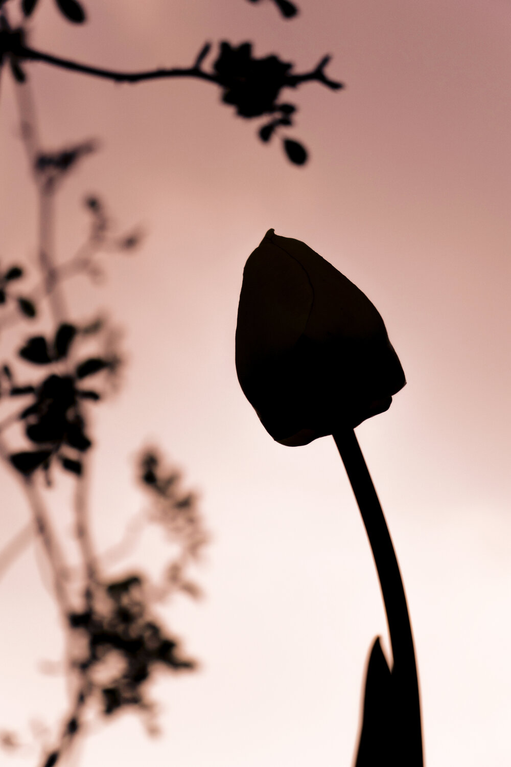 Photo #13881146