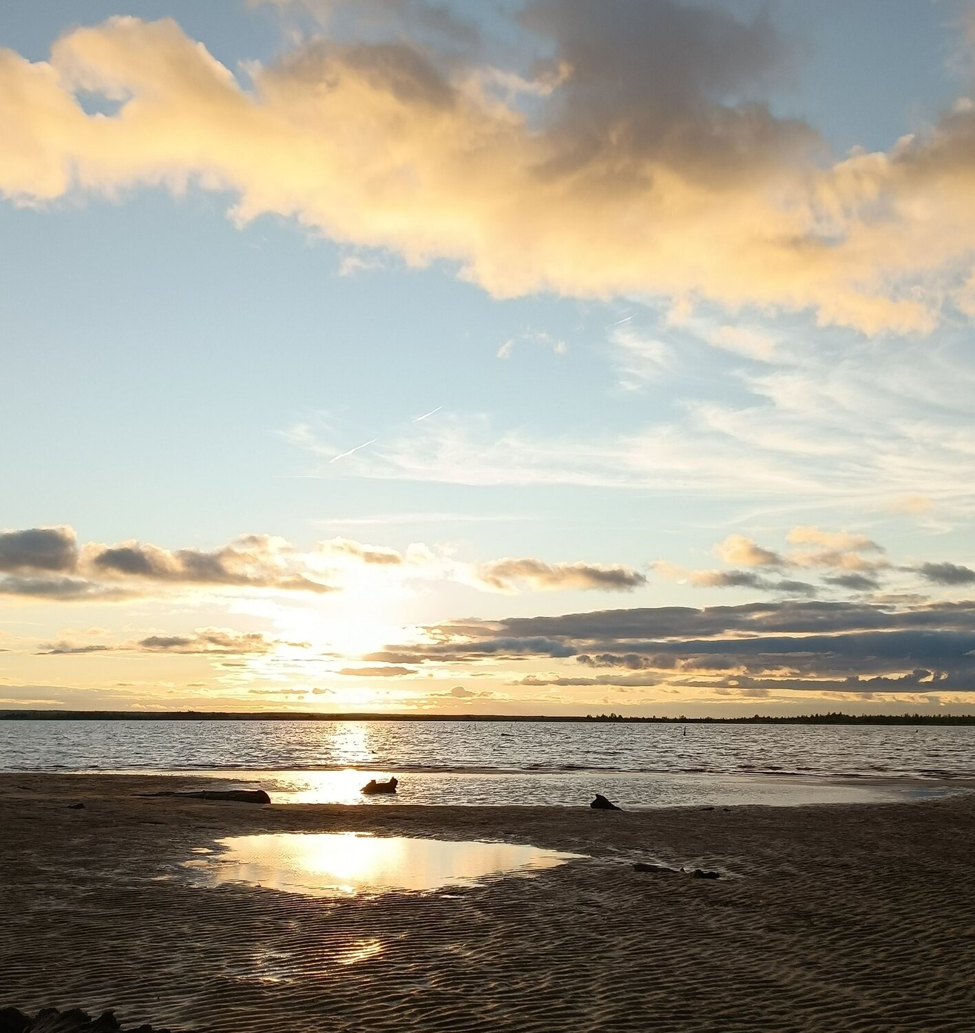 Photo #13881163