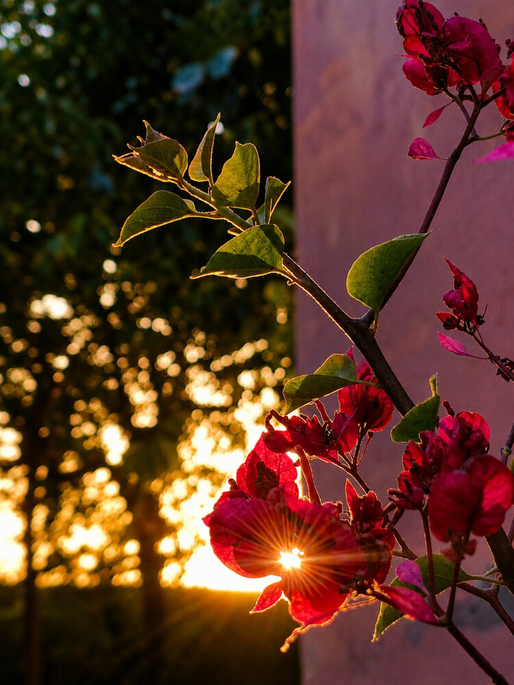Photograph by Manav Swami