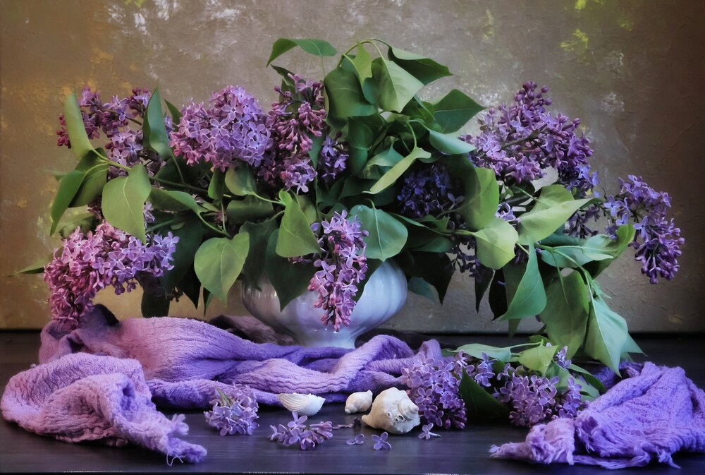 Photograph by Olga Asson