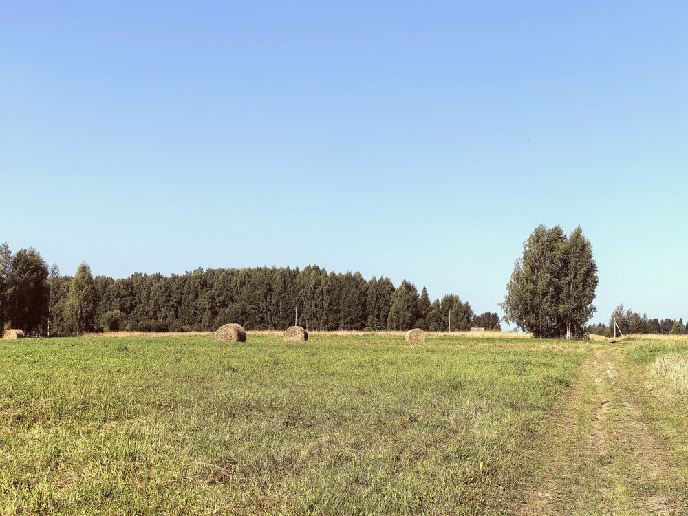 Photograph by Диана Токаревич