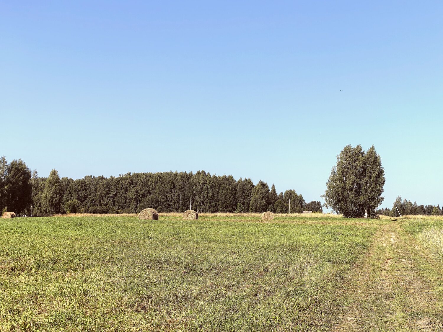 Photo #13881229